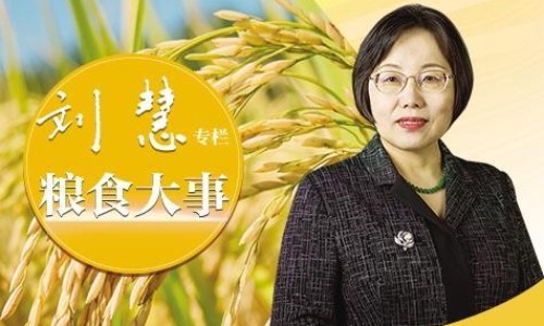 苦瓜降血糖功效-苦瓜减脂功效网—知名的苦瓜网站,分享冰糖的功效知识