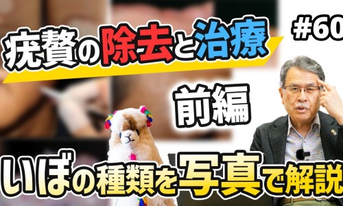 苦瓜姜水的功效与作用-苦瓜减脂功效网—知名的苦瓜网站,分享冰糖的功效知识